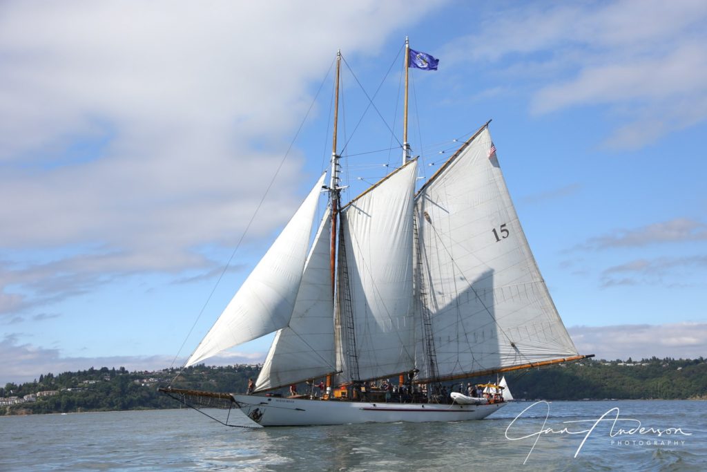 Adventuress - Sound Experience