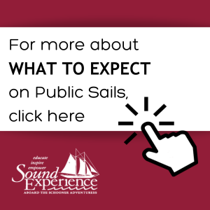 For more about what to expect on Sound Adventures' Public Sails click here. Image shows a finger clicking the text.