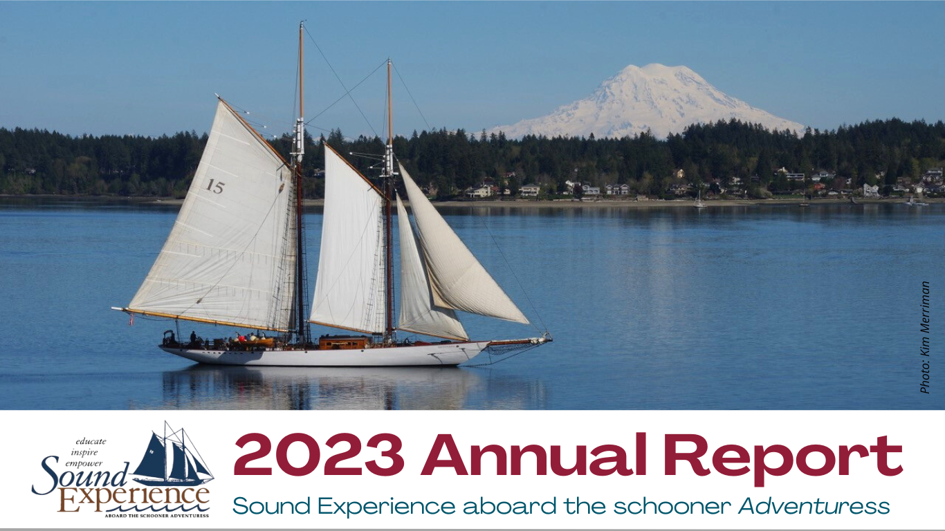 2023 Sound Experience Annual Report
