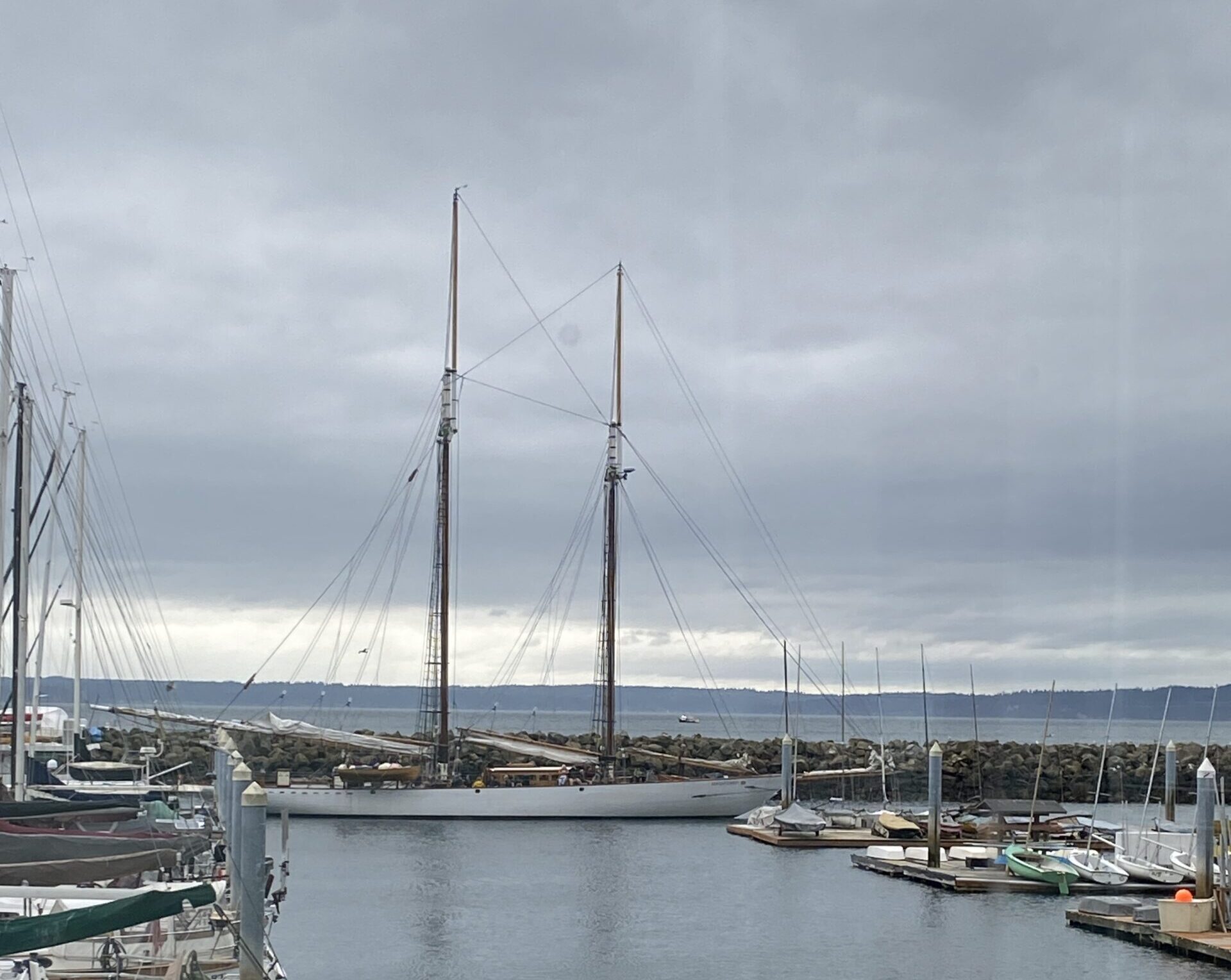 Adventuress Cup Logo