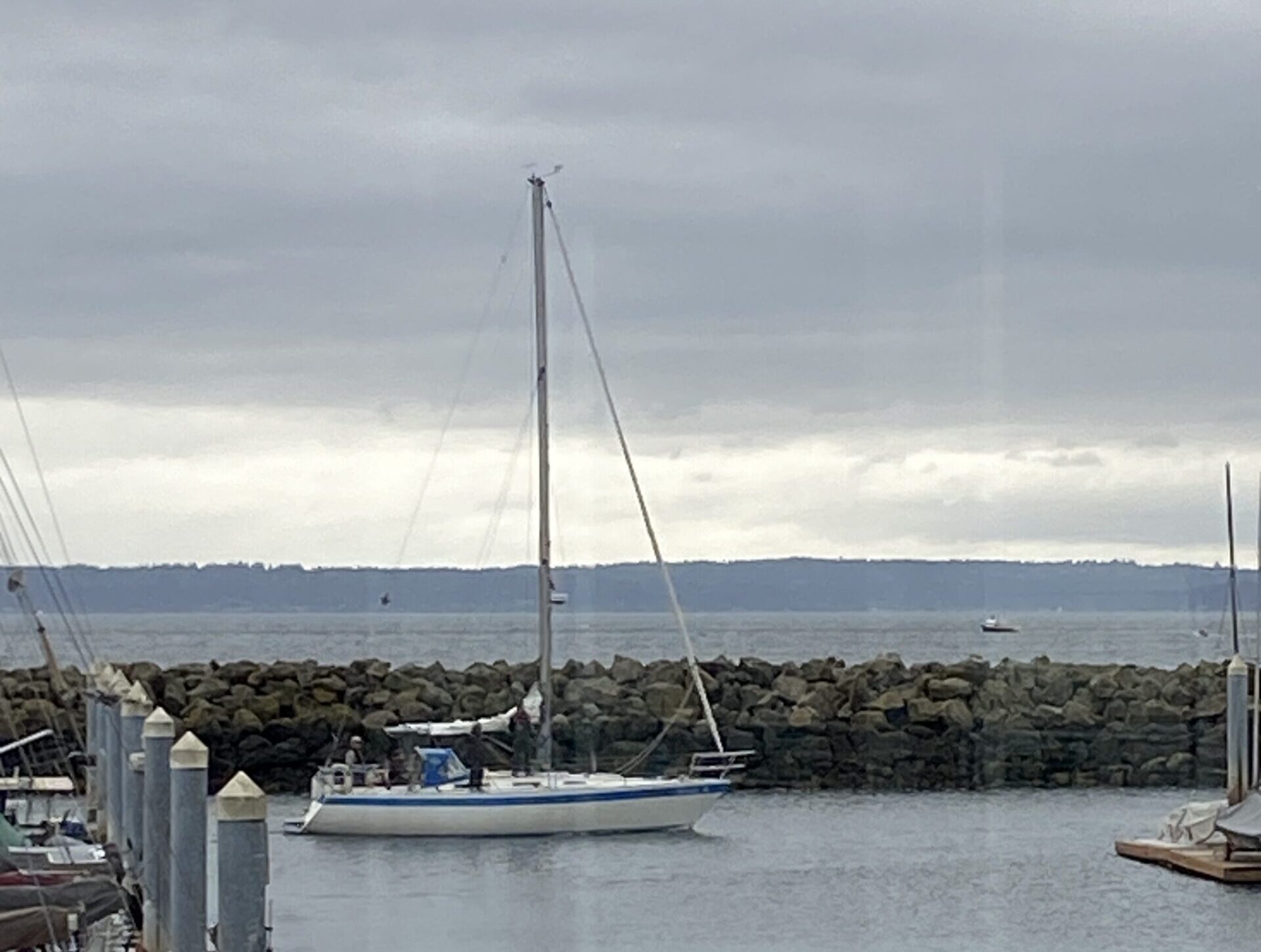 Adventuress Cup Logo