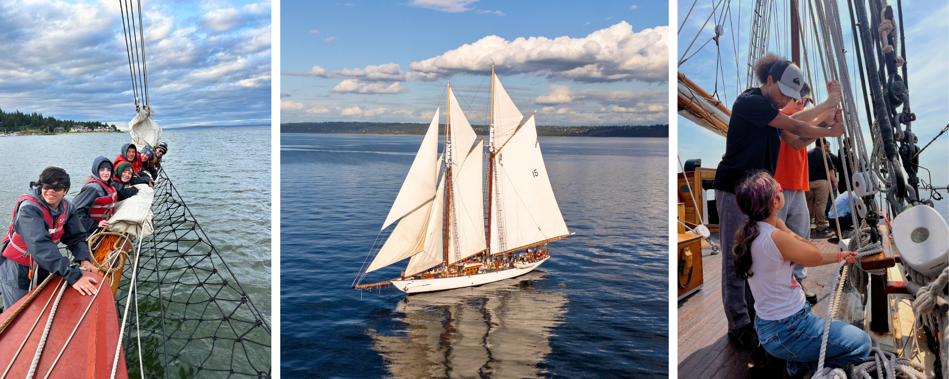 Website Homepage Banner